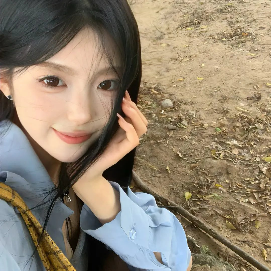 莱芬斯坦：影像的背叛